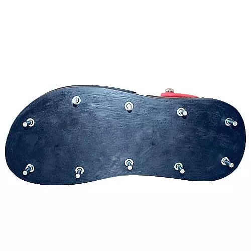 Spiked shoes with replacement spikes, flat-mounted