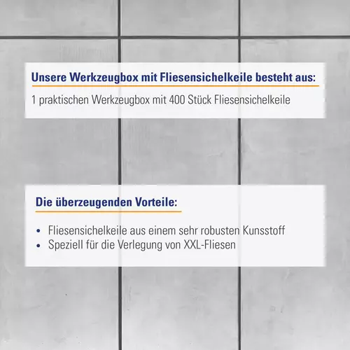 fliesensichelkeile werkzeugbox 400 Vorteile