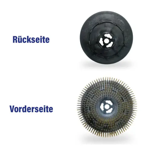 Zusatzbild Stahlbuerste zur Ausfugmaschine KD6 / KD5 mit Vorder- und Rückseitenansicht des Aufnahmetellers.